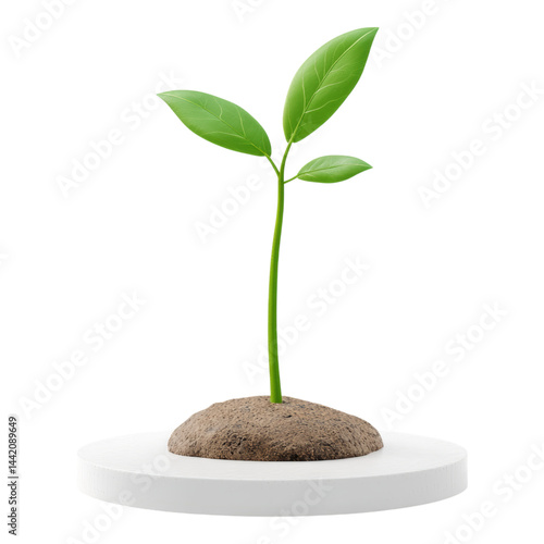Fresh Green Plant Growing in Soil on Round White Platform Display Isolated on transparent background
