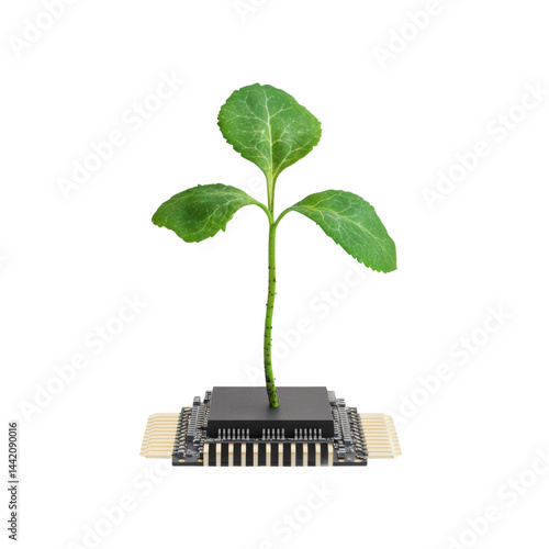 Growing Plant on Circuit Board Symbolizing Technology and Nature Isolated on transparent background