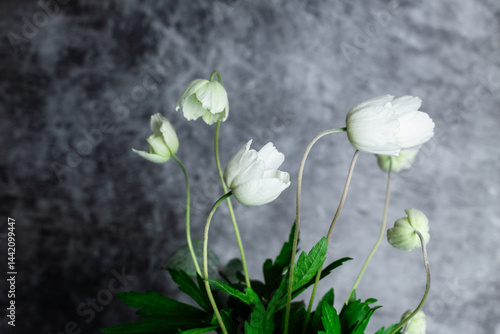 bouquet of anemones in vintage bottle on grey background