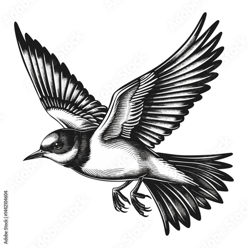 Vintage flying swallow, black and white tattoo sketch, trendy vector illustration, emblem design, old engraving, bird tattoo, black sketch, retro bird silhouette, classic tattoo art
