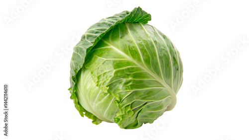 Принти на полотні raw green fresh Cabbage isolated on transparent background cutout