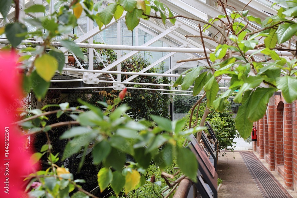 Botanic Gardens in Belfast, Northern Ireland