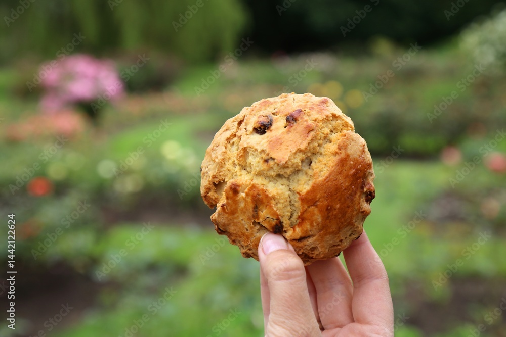 Scone with raisins