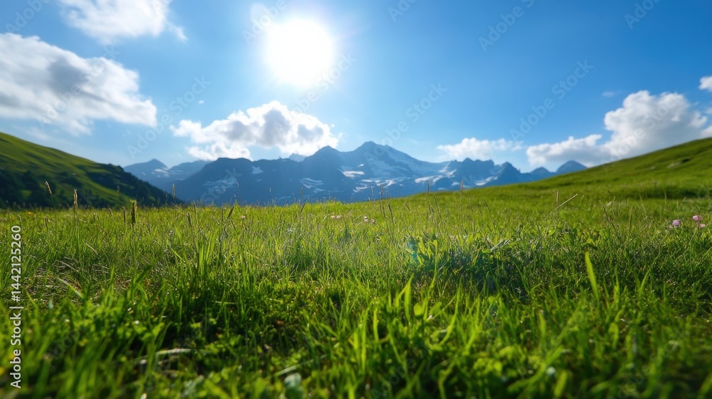 Mountains over green grassy field Mountains over green grassy field