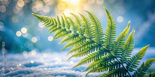 Ethereal Frosted Fern Bokeh Background