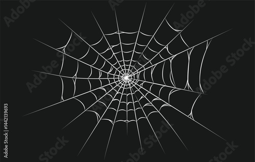 spider Web on black background. Scary Spider Web for Halloween