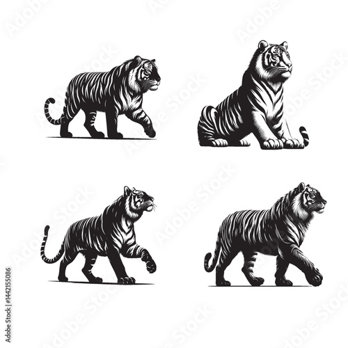 Black and White Tiger Vector Illustrations Set