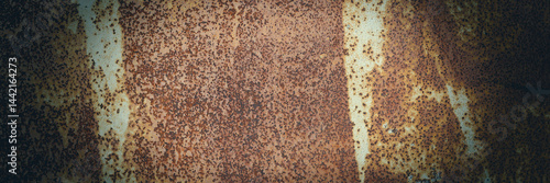 Obraz na płótnie Old rusty metal texture. Rust on the surface of the iron wall. Panoramic background for grunge design. w salonie