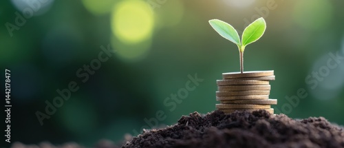 Plant growing on coins