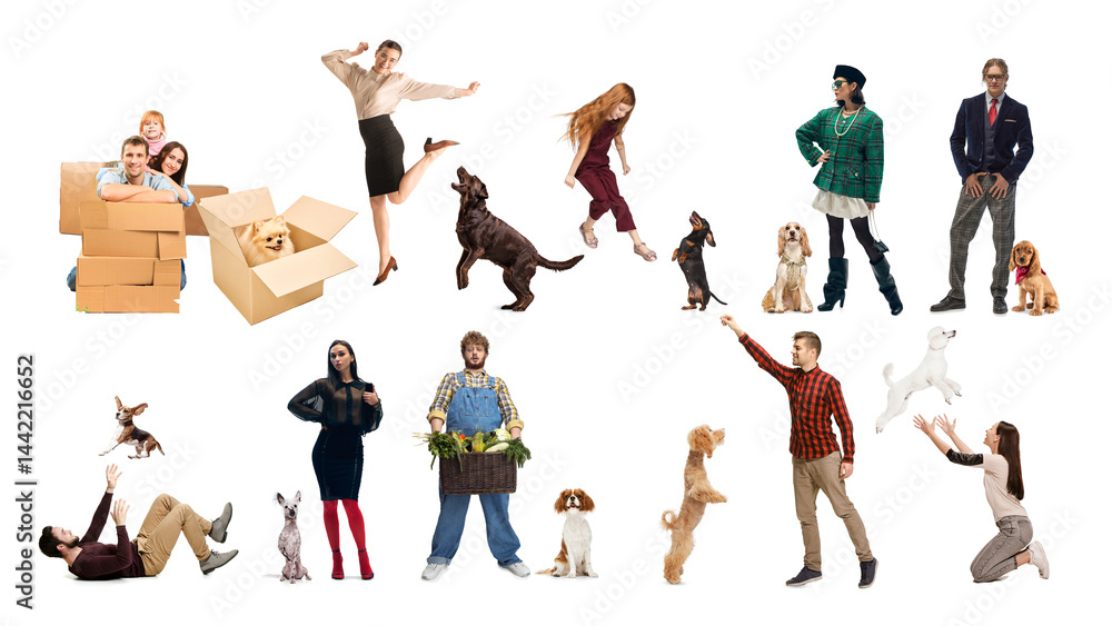 Collage of diverse people, men and women, hugging, walking, posing with dogs of different breeds, reflecting lifestyle, friendship and joy on white background. Concept of people and pets