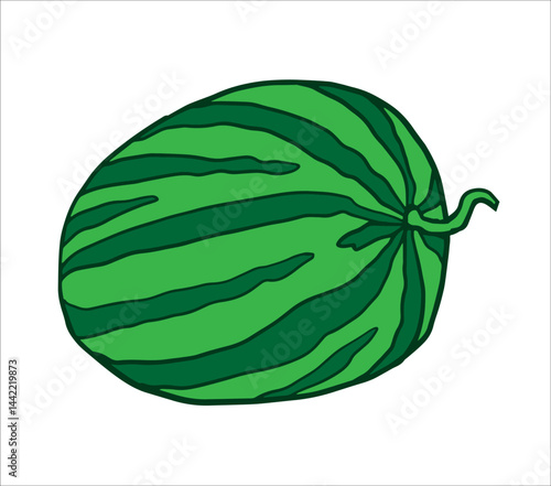 watermelon vector illustration with a whole green-striped melon. Ideal for menu art, packaging labels, summer banners, social media graphics