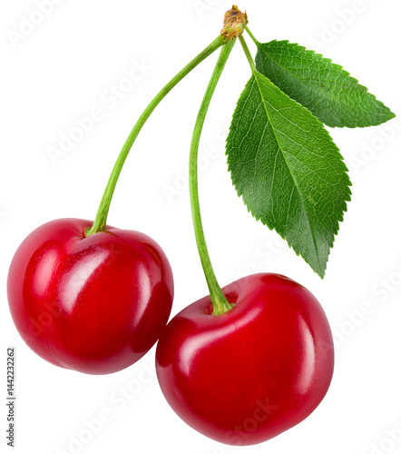 Cherry isolated png. Sour cherry with leaf on transparent background. Top view two cherries on branch with leaves no background. Png cherry. Full depth of field.