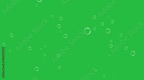 Rising bubbles on green screen background chroma key alpha channel