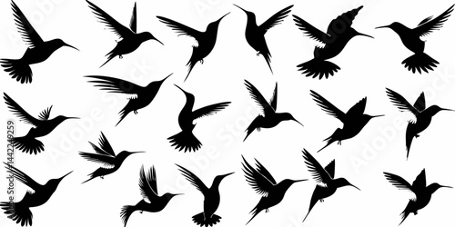 Hummingbird Silhouettes SVG – Black and White In-Flight Bird Clipart

