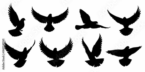 Pigeon Silhouette SVG – Black and White Clipart Bird vector


