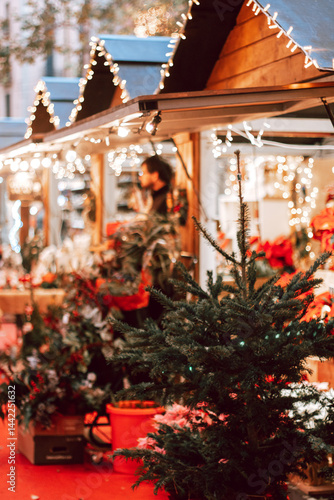 Traditional European Christmas plant poinsettia in a pot for sale at market. Beautiful Christmas market hut
