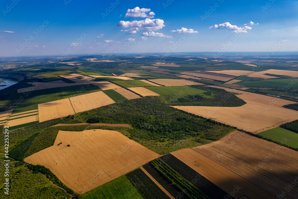 An Aerial View that Captures the Stunning Beauty of Lush Green Fields and a Serene River Landscape