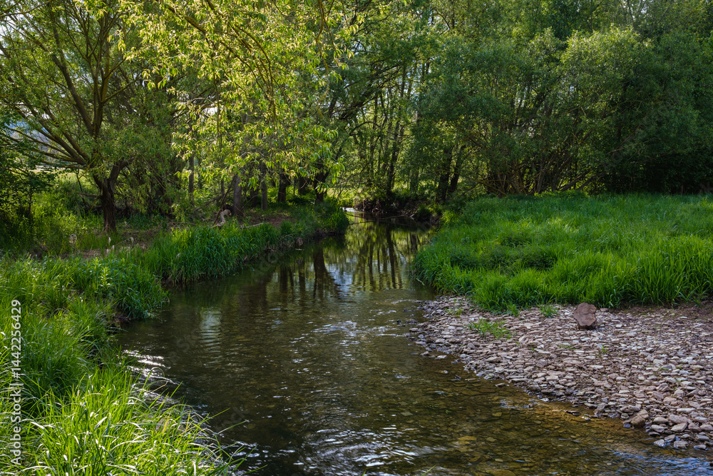 A Serene Riverbank, Gently Flowing and Beautifully Surrounded by Lush Greenery and a Cloudy Sky