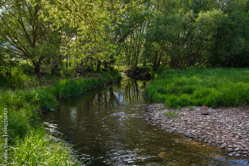 Obraz na płótnie A Serene Riverbank, Gently Flowing and Beautifully Surrounded by Lush Greenery and a Cloudy Sky w salonie