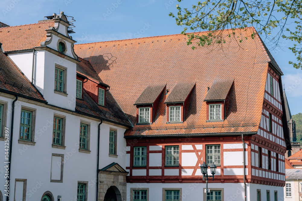 Fototapeta premium Elegant European Architecture Framed by Trees in Sunshine, Germany
