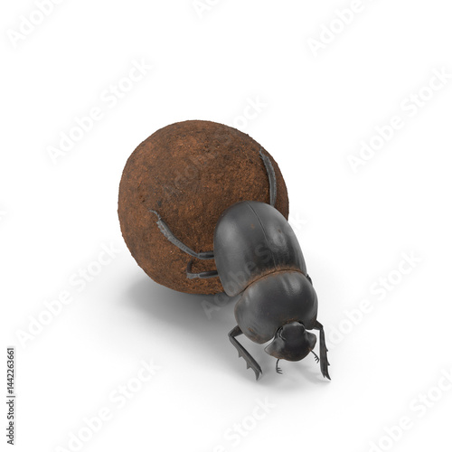 Dung beetle roller dungball pushing sphere dirt
