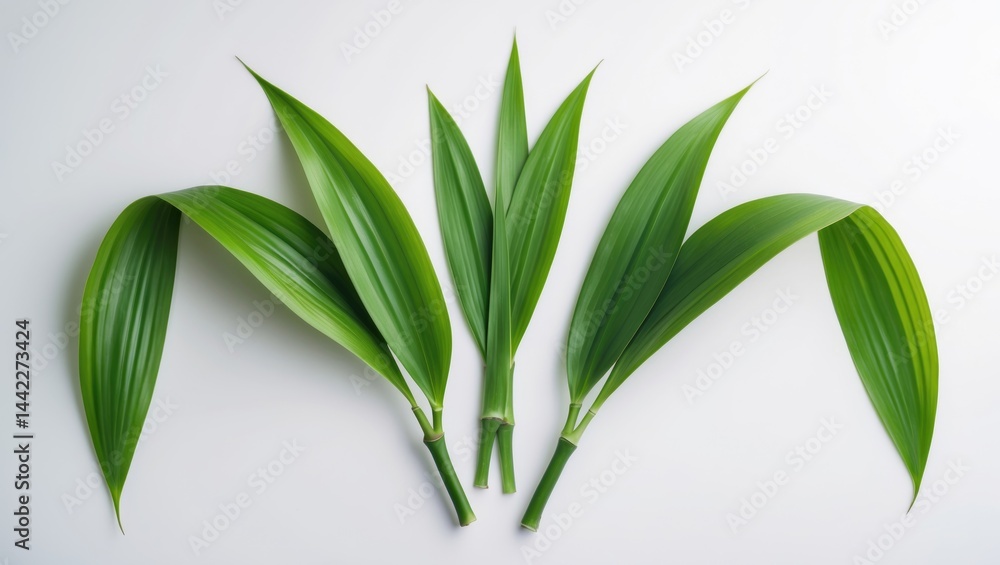 Obraz premium Single bamboo leaf PNG showcasing green pattern leaves or abstract background, detailed close-up.