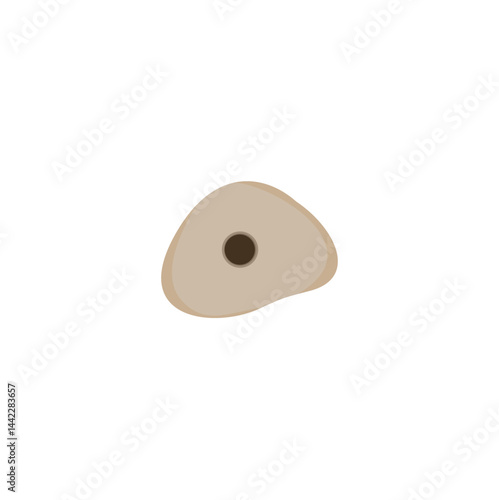 Holds for rock climbing walls. Vector illustration 