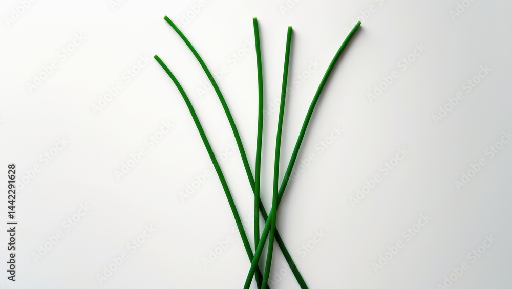 Fototapeta premium Fresh Chives Set Against a White Background