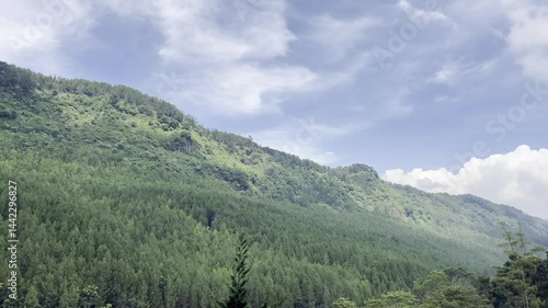 a natural scene featuring a green valley with clear skies