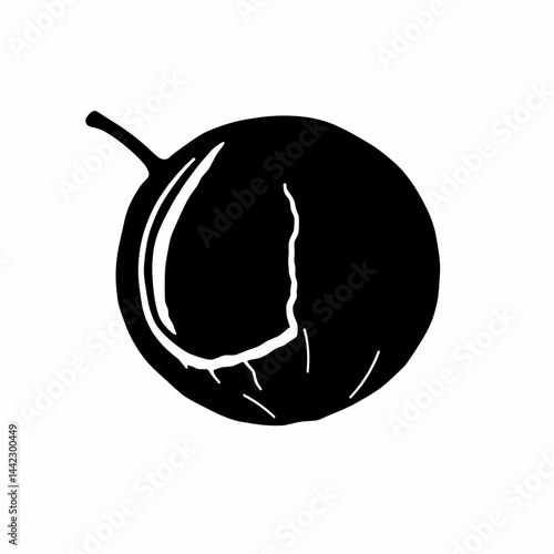 Shadowy Plum A lone fruit defined by stark contrast and etched details