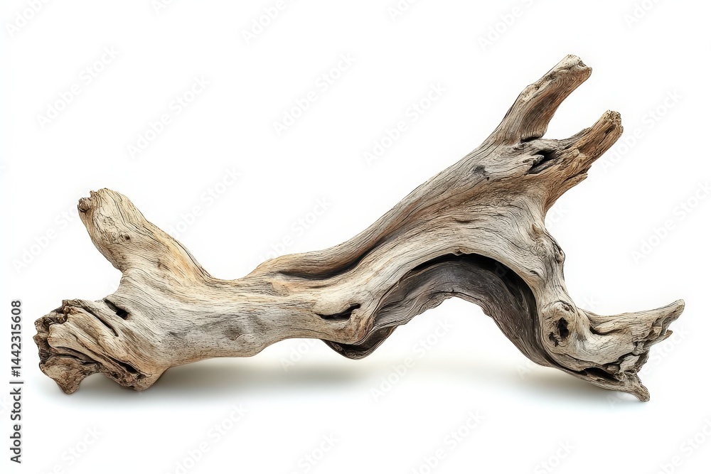 Fototapeta premium Intricate, weathered driftwood piece against white backdrop.