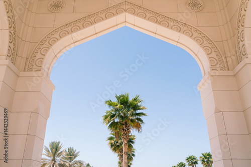 palm tree in an arch