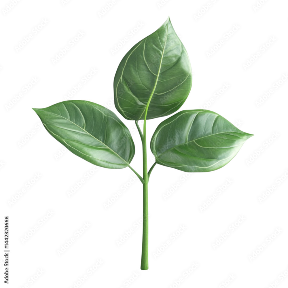 Fototapeta premium Green plant sprout with vibrant striped background nature growth spring leaves stem