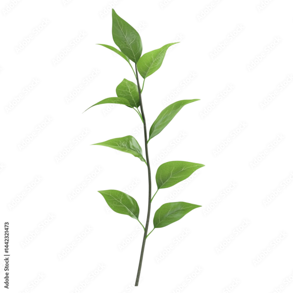 Fototapeta premium Green plant stem leaves abstract background design