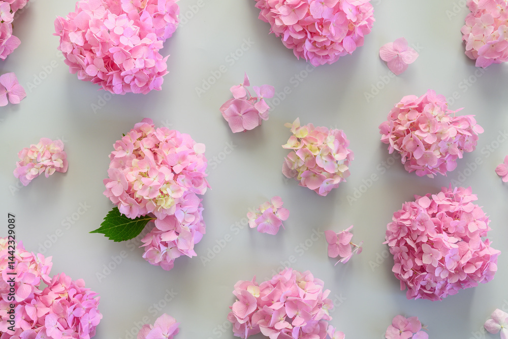 Beautiful pattern of pink hydrangea flowers on gray background. Floral pastel abstract background. View from above.