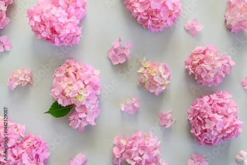 Obraz na płótnie Beautiful pattern of pink hydrangea flowers on gray background. Floral pastel abstract background. View from above. w salonie