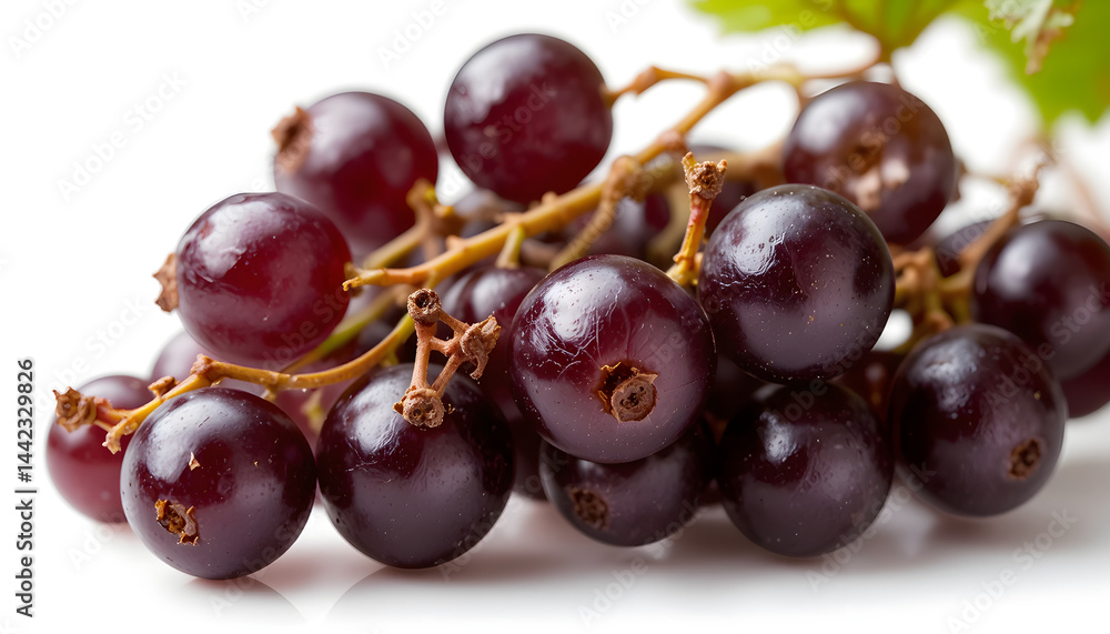 Fototapeta premium Transparent PNG available black currant on white background