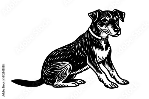 dog sitting