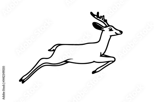 deer juming 1