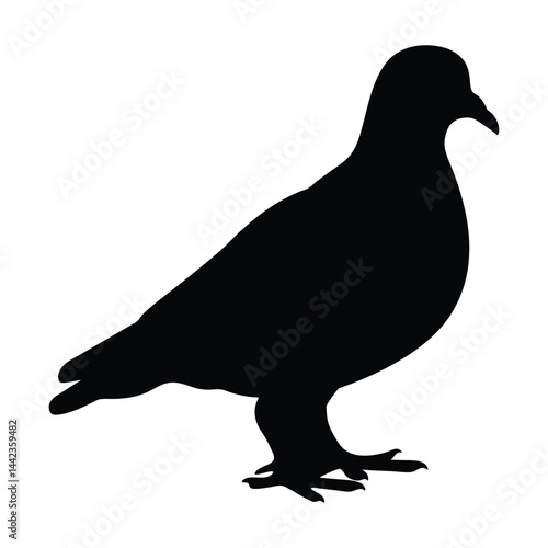 Elegant Pigeon Silhouette Vector: Ideal for Creative Designs, Digital Branding, and Artistic Projects photo
