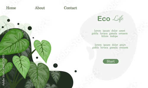Leafy green landing page with pure concept background