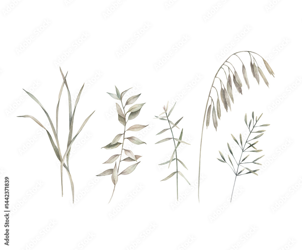 Obraz premium Watercolor botanical collection with herbal branches. Hand drawn isolated illustrations on white background