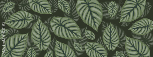 Leafy green landing page with pure concept background