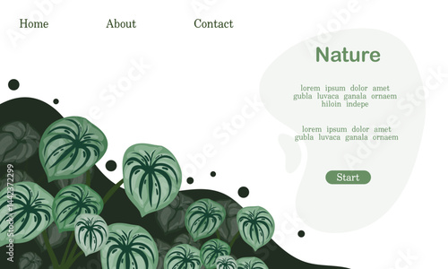 Leafy green landing page with pure concept background