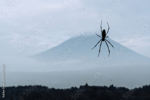 View of Tanuki lake with maple trees in the evening with Spider on foreground