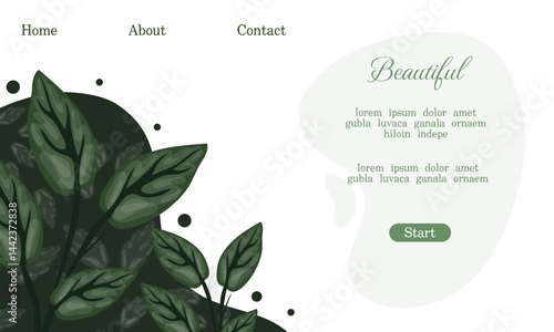Leafy green landing page with pure concept background