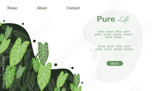 Leafy green landing page with pure concept background
