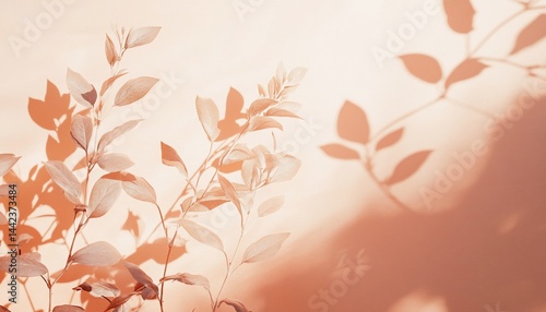 Obraz na płótnie Soft light illuminates delicate plant branches casting long shadows on a peach background. w salonie