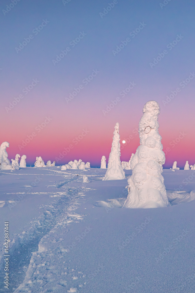 winter landscape with snow