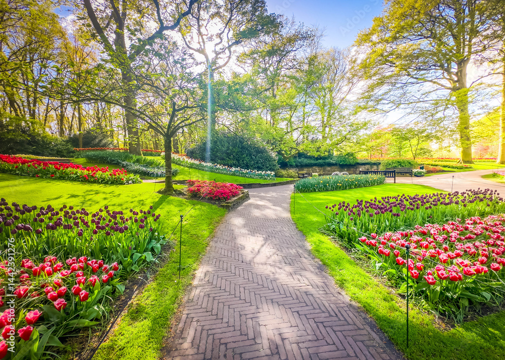 Winding path with tulips flowerbed in spring formal garden